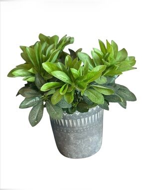 Artificial Greenery in Decorative Gray Planter - Home Accents-2pcs never opened
